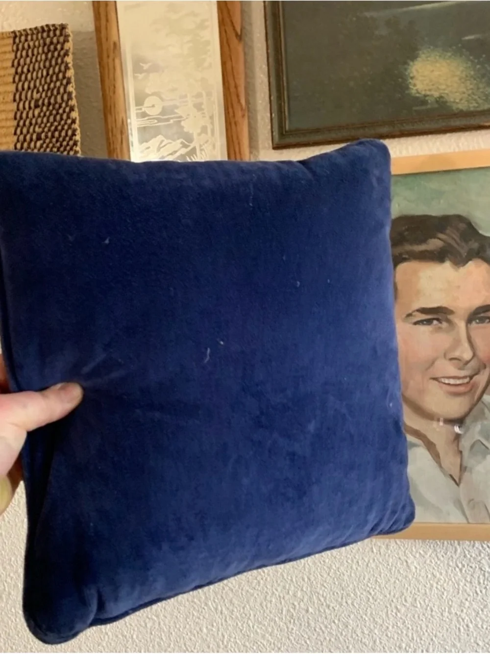 Hand-Embroidered Iris Pillow